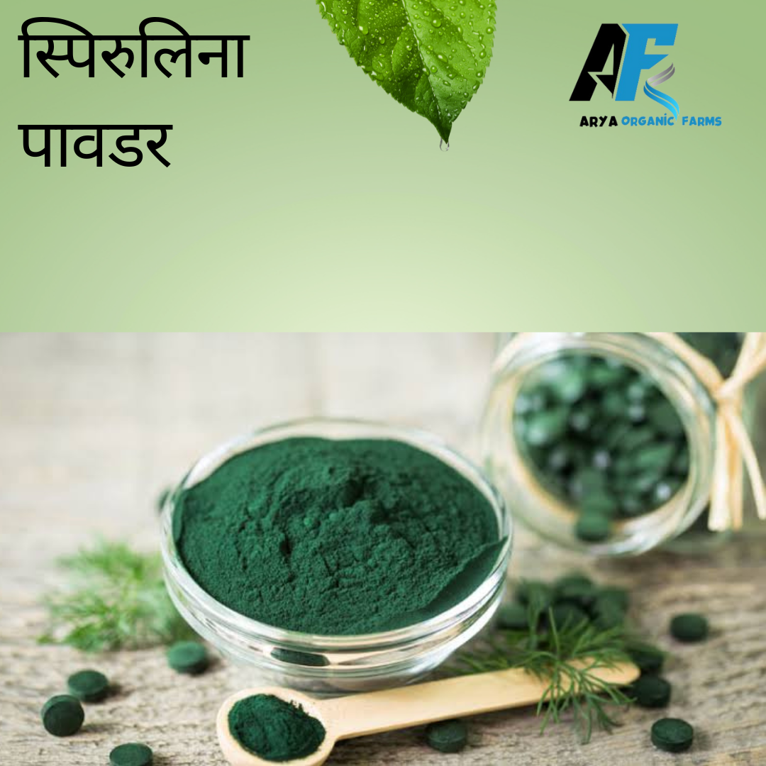 Spirulina powder - Image 2