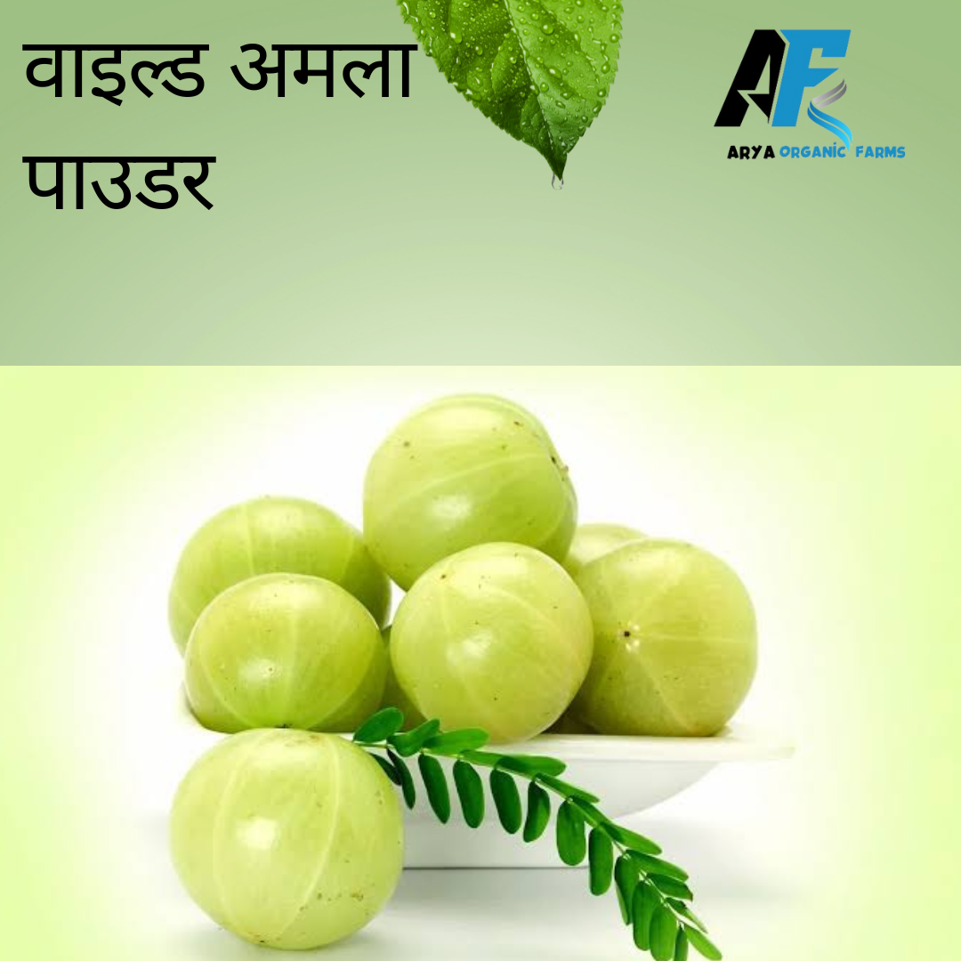 Wild Amla Powder - Image 3