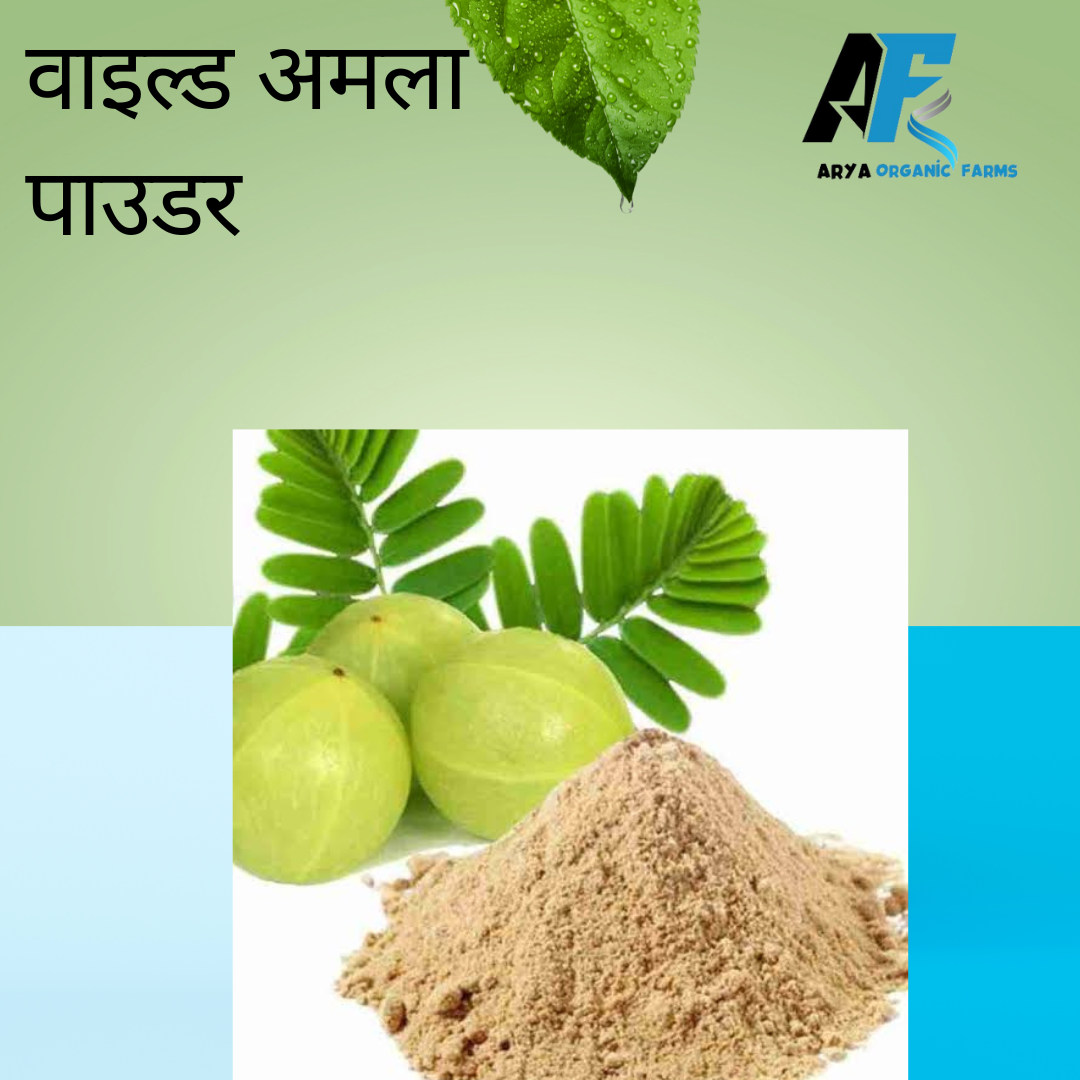 Wild Amla Powder - Image 2